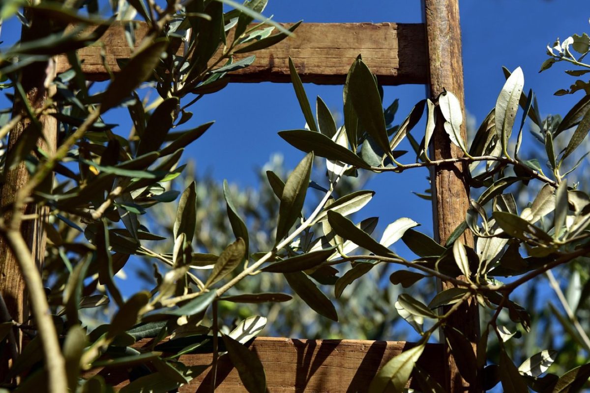 Camping ou glamping en Grèce : lequel choisir ?